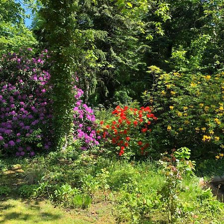 Ferienhaus Hudemuehlen Keine Monteure Ходенхаген Екстериор снимка
